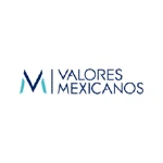 Dimajeff-clientes-valores-mexicanos-logo.webp